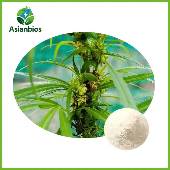 Hemp Seed Powder Bulk Hemp Seed Powder Bulk